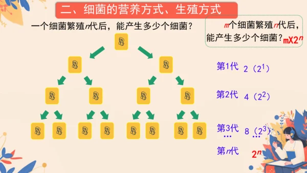 2.3.2细菌课件2024-2025学年人教版生物七年级上册(共18张PPT)