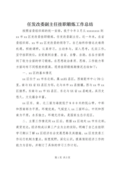 任发改委副主任挂职锻炼工作总结.docx