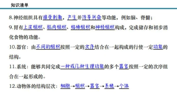 人教版生物七年级上册第一单元《生物与细胞》单元复习课件(共53张PPT)