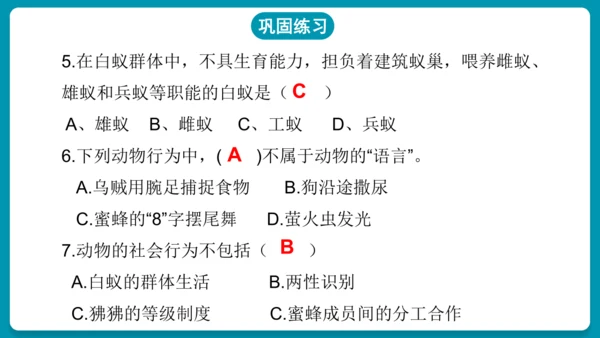 5.2.3社会行为课件-人教版生物八年级上册