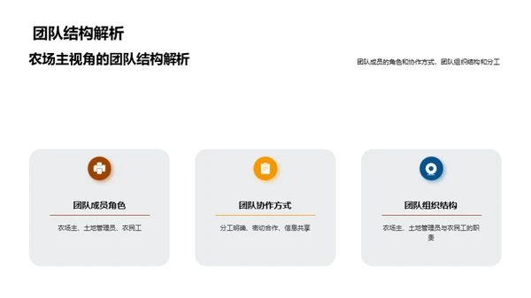 丰收之年团队荣耀