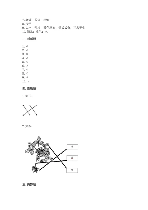 教科版一年级上册科学期末测试卷参考答案.docx