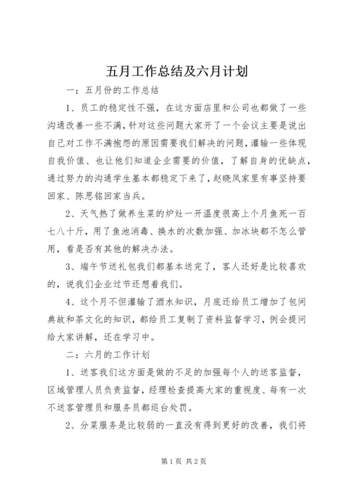 五月工作总结及六月计划.docx