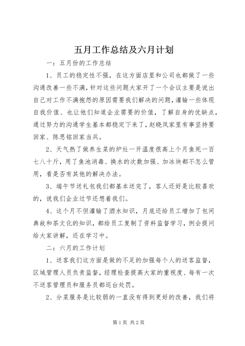 五月工作总结及六月计划.docx