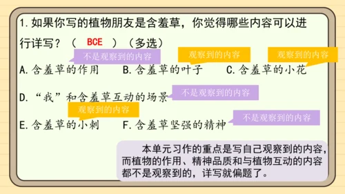 统编版语文三年级下册2024-2025学年度第一单元习作：我的植物朋友（课件）