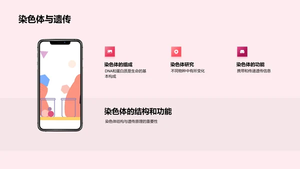 遗传进化科普讲解PPT模板