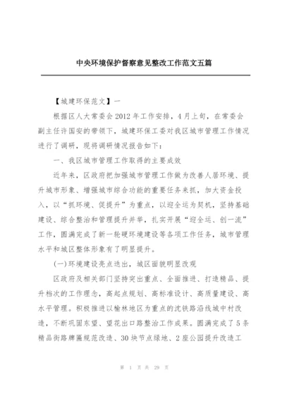 中央环境保护督察意见整改工作范文五篇.docx