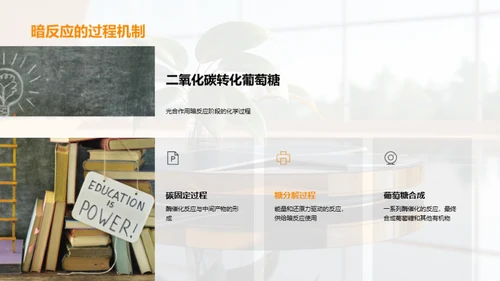 绿色能源之源