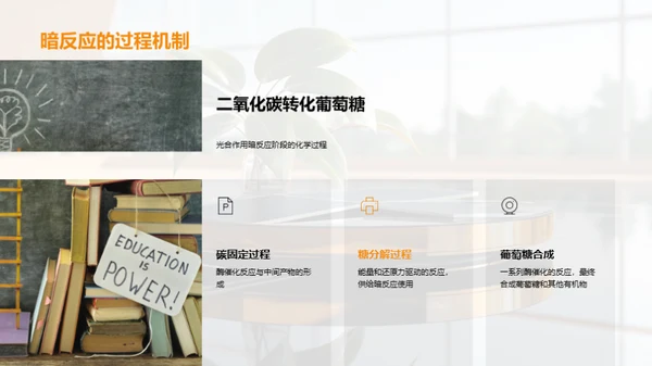 绿色能源之源