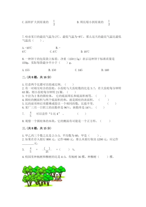 小学数学六年级下册竞赛试题【培优a卷】.docx