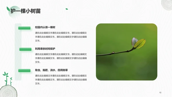 绿色简约植树节活动策划PPT