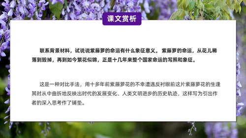 实拍风紫藤萝瀑布七年级语文课件PPT模板