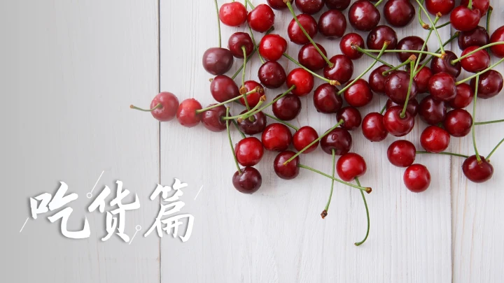 郑州城市旅游介绍宣传PPT