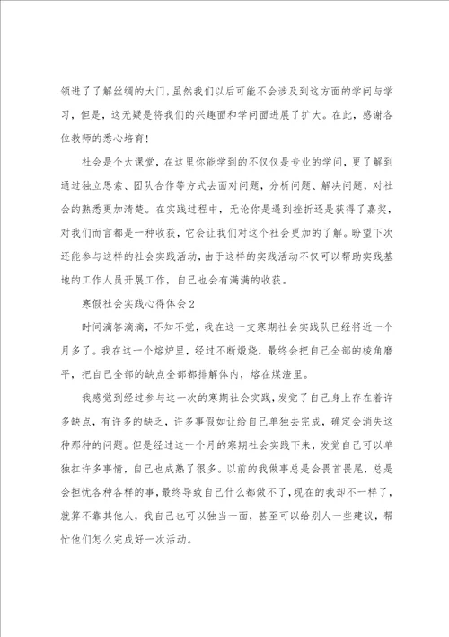 寒假社会实践个人心得体会五篇