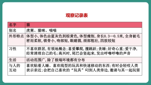 七年级语文上册第五单元 任务二 亲近动物，丰富生命体验 课件-【课堂无忧】新课标同步核心素养课堂