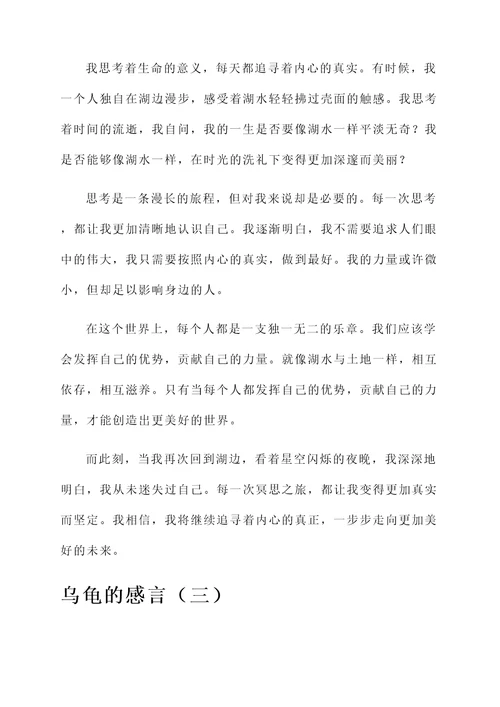 一只乌龟的感言