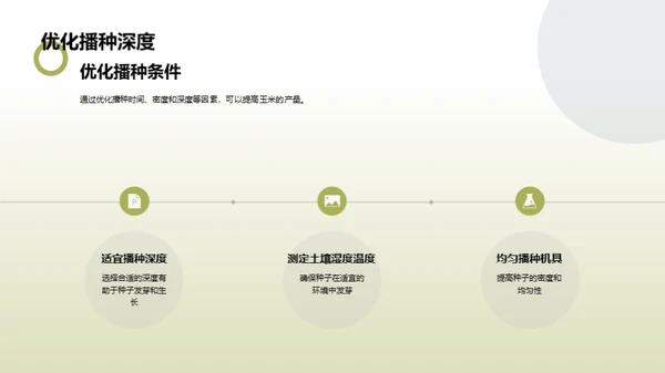 玉米高效种植新纪元