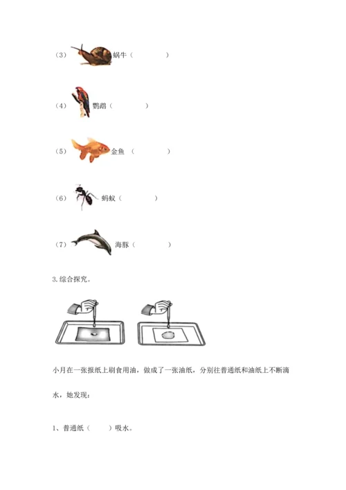 教科版科学二年级上册《期末测试卷》附答案【实用】.docx