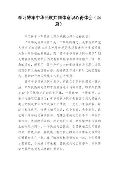 学习铸牢中华民族共同体意识心得体会（24篇）.docx