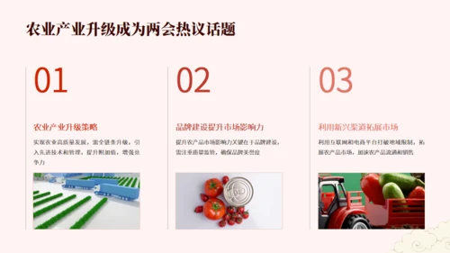 农业农村系统学习贯彻两会精神党课课件