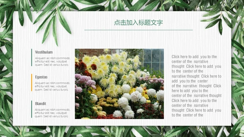 绿色环保慈善公益通用PPT模板