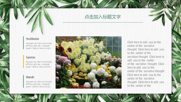 绿色环保慈善公益通用PPT模板