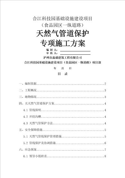 天然气管道保护专项技术方案