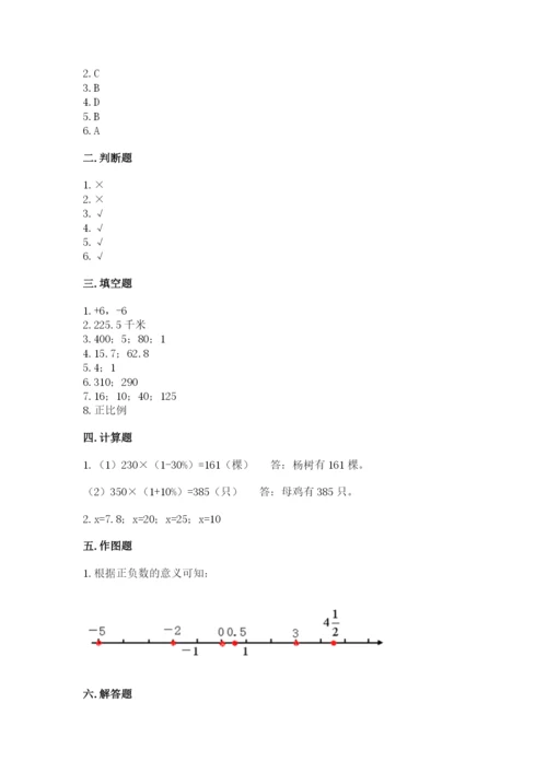 田阳县六年级下册数学期末测试卷及一套答案.docx