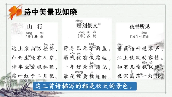 部编版三年级上册语文 4 古诗三首 课件