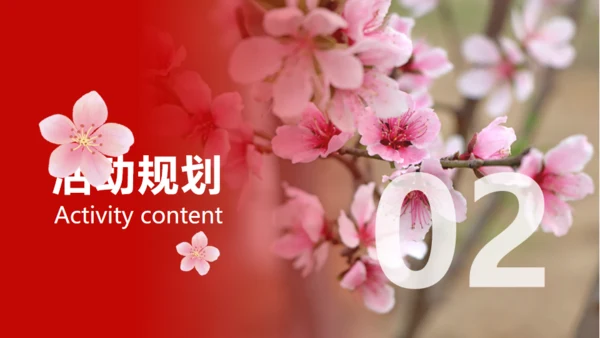 小镇桃花节策划方案通用PPT