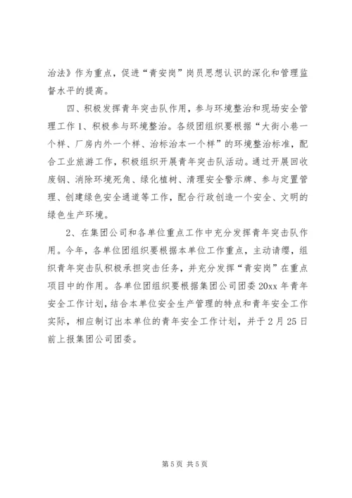 某集团公司团委青年安全工作计划.docx