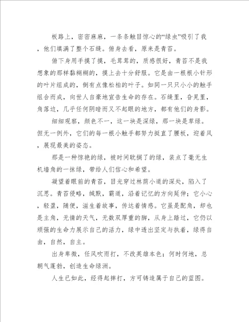沙漠绿洲作文600字10篇完整版