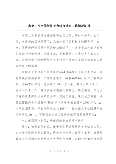 市第二次全国经济普查综合试点工作情况汇报.docx