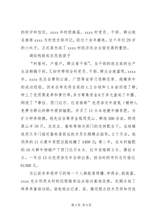 村党支部书记事迹材料 (21).docx