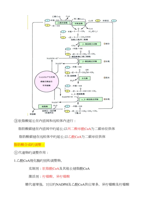 2023年生物化学脂质代谢知识点总结.docx