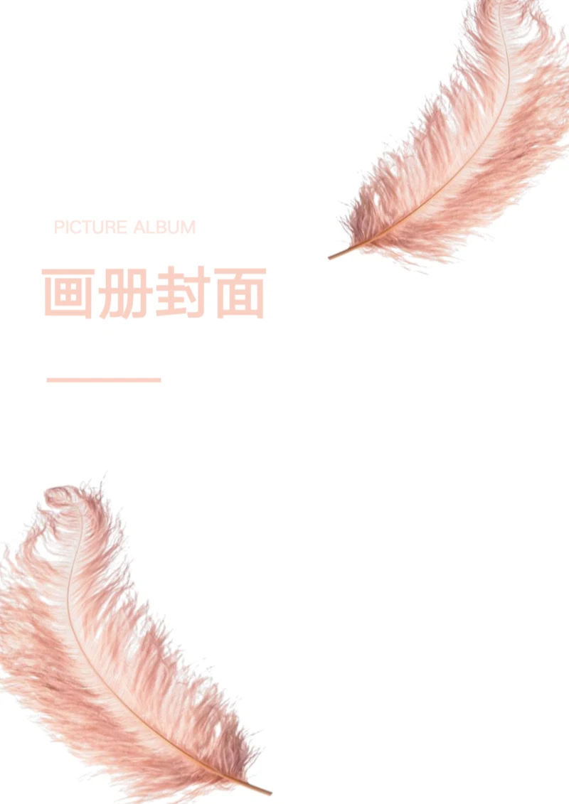浪漫羽毛封面