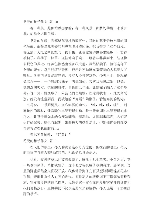 冬天的样子作文