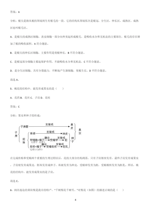 人教版2023初中生物七年级上册第三单元生物圈中的绿色植物重点知识点大全.docx