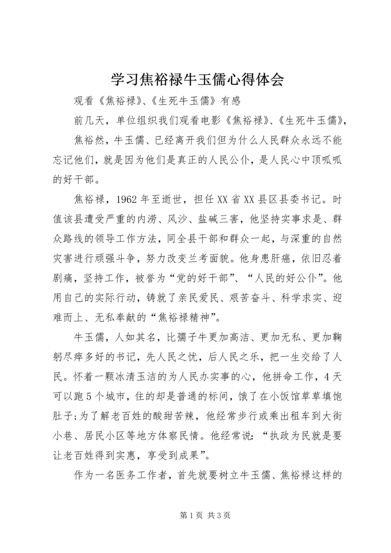学习焦裕禄牛玉儒心得体会.docx