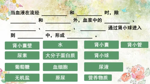 初中生物学[期末专区]七年级下册第四章和第五章复习课件(共39张PPT)