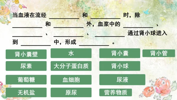 初中生物学[期末专区]七年级下册第四章和第五章复习课件(共39张PPT)