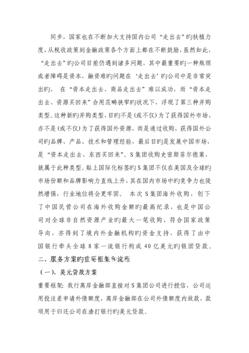 S集团国际业务服务专题方案.docx