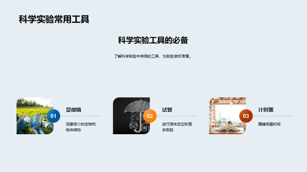 小小科学家的实验之旅