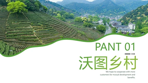 绿色乡村文化旅游新农村建设农业PPT模板