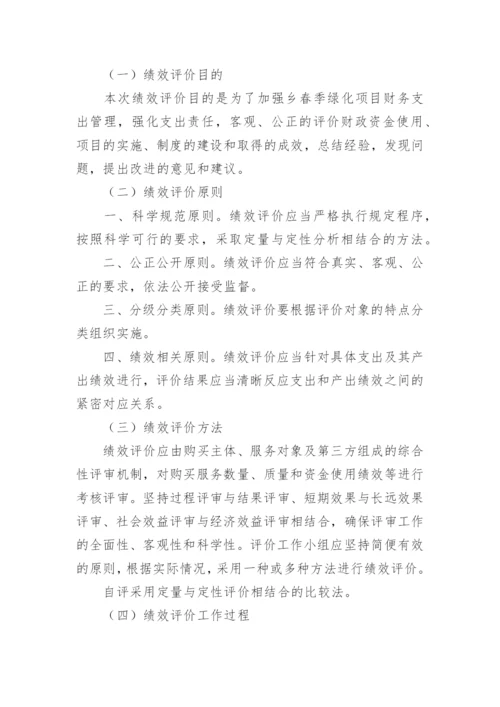 项目绩效评价报告.docx