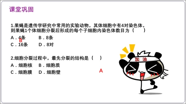 【2023秋人教七上生物期中复习考点梳理串讲+临考押题】第二章 细胞怎样构成生物体（串讲课件）(共2