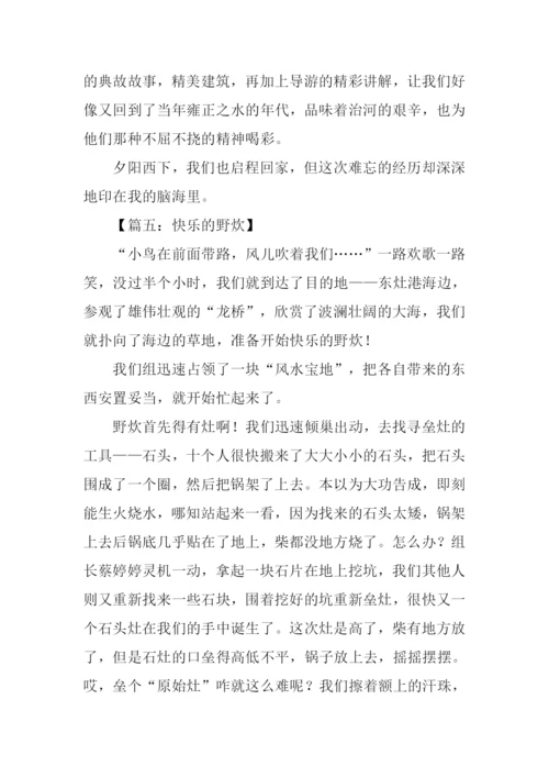 关于野炊的作文.docx
