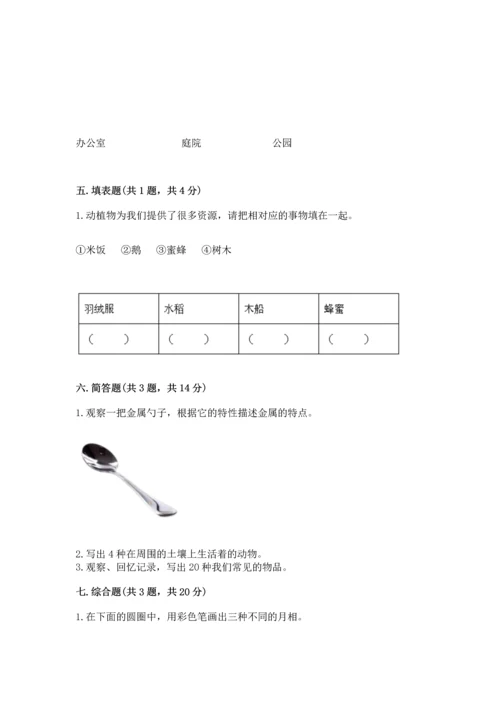 教科版科学二年级上册《期末测试卷》a4版.docx