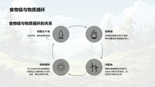 生态平衡与食物链