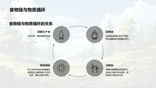 生态平衡与食物链